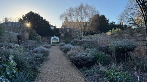 A light covering of frost across the Mingle Border at Peckover House and Garden. Flowerbeds line either side of the pathway.
